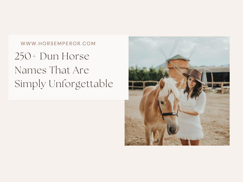 Dun Horse Names