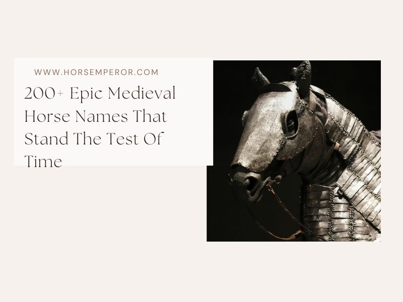 Epic Medieval Horse Names