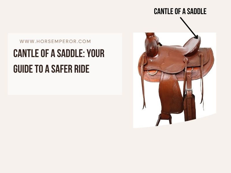 Cantle of a Saddle