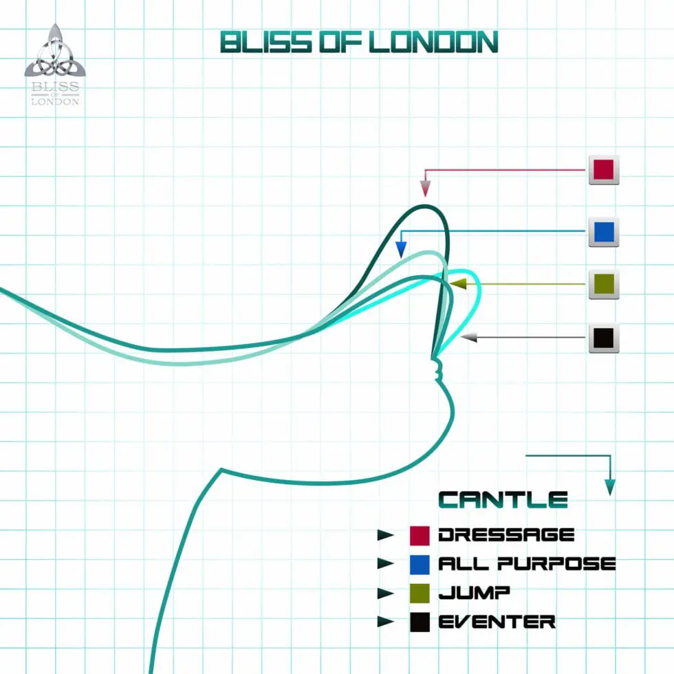 Cantle size by type