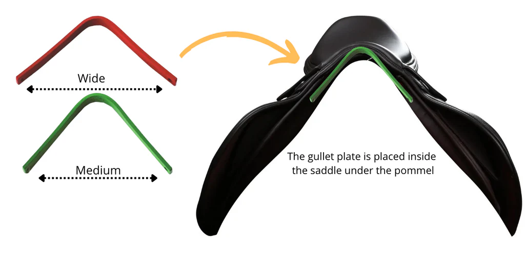 Image explaining gullet size