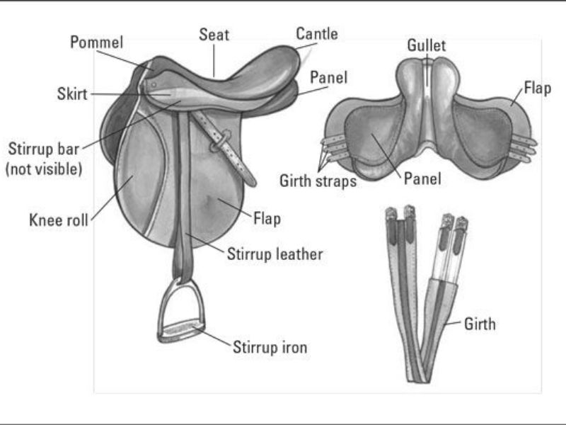 Gullet width guide