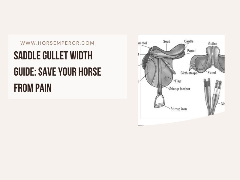 Saddle Gullet Width Guide