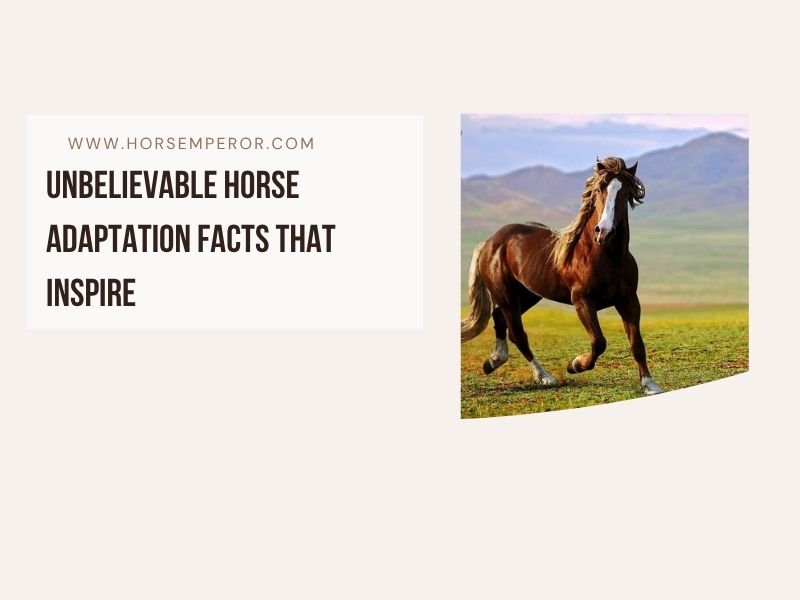 horse adaptation facts photo