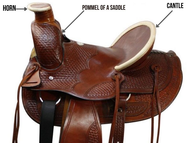 _Pommel of saddle image